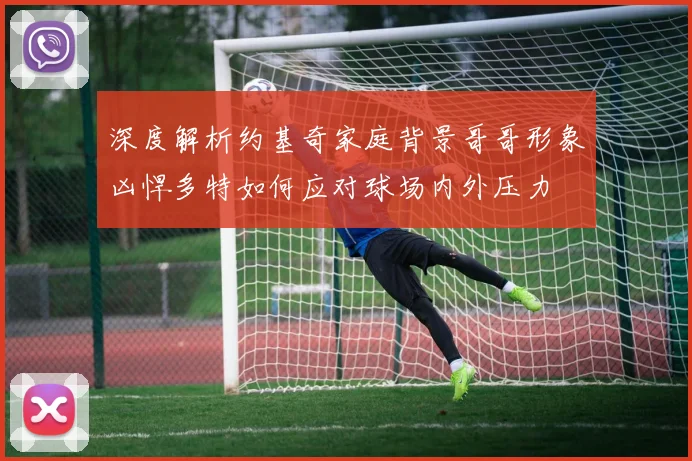 深度解析约基奇家庭背景哥哥形象凶悍多特如何应对球场内外压力