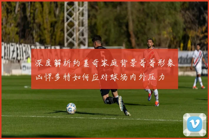 深度解析约基奇家庭背景哥哥形象凶悍多特如何应对球场内外压力