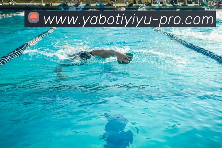 亚博体育(YABO)官方授权体育信息服务中心平台生态图